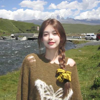 独狼2013海报
